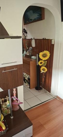 Apartament cu 3 camere semidecomandat în Ștefănești