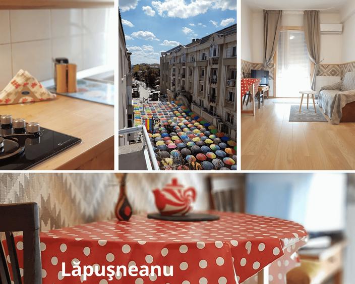 Apartament superb de închiriat – Strada Lăpușneanu - 1
