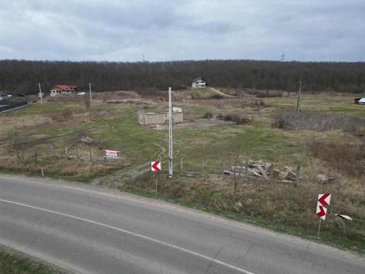 Teren Construcții intravilan de 3500 mp, în Mogoșești