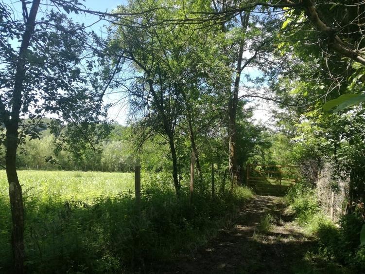 Teren de 1850 mp, în Calvini
