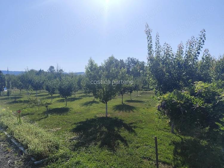 Casă cu Teren 2400 Mp în Vărădia de Mureș