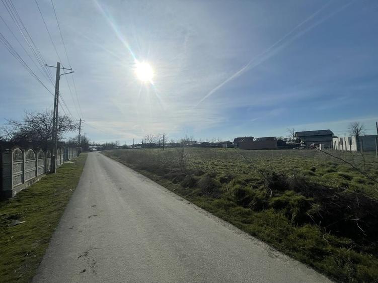 Teren de 1636 mp, în Amzacea