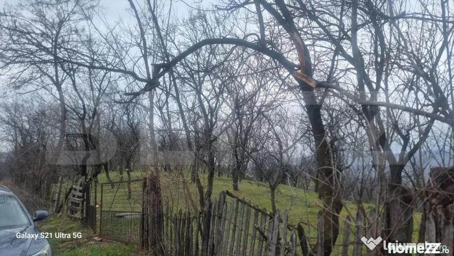 Teren de 3781 mp, în Schiulești