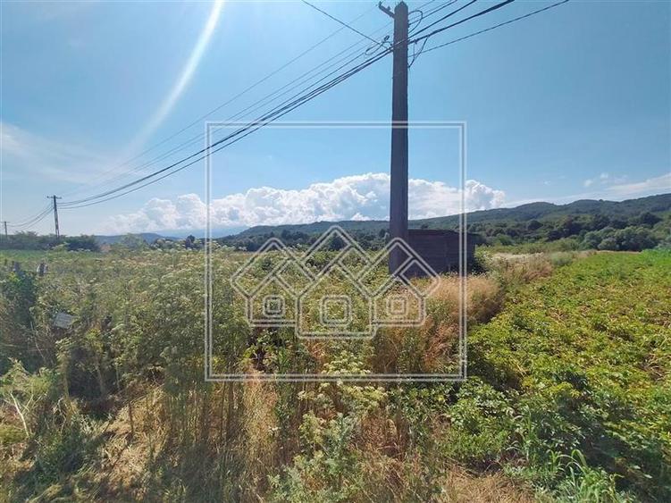 Teren agricol extravilan de 4900 mp, în Sadu
