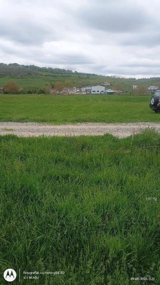 Inchirez teren extravilan, zona industriala, la 5 minute de Aeroport Sibiu - 5