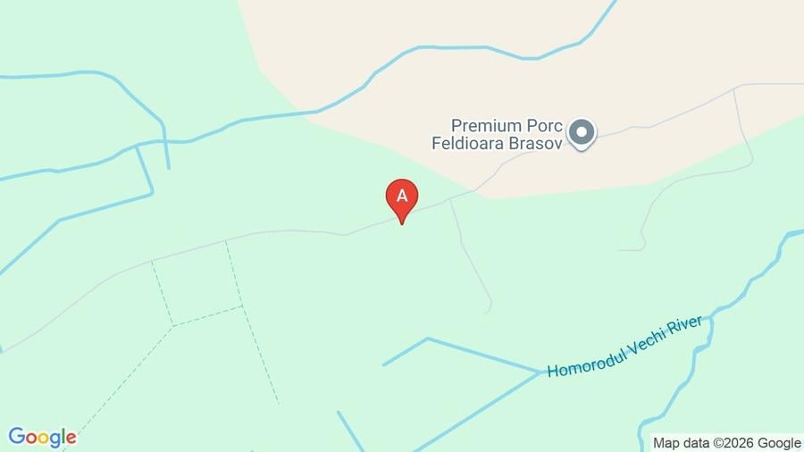 Teren agricol extravilan de 44100 mp, în Feldioara