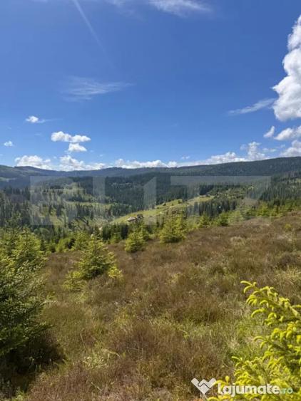 Teren partial intravilan ,9700 mp Oportunitate ,Belis - 3