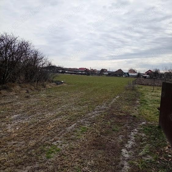 Teren de 5900 mp, în Mihai Viteazu