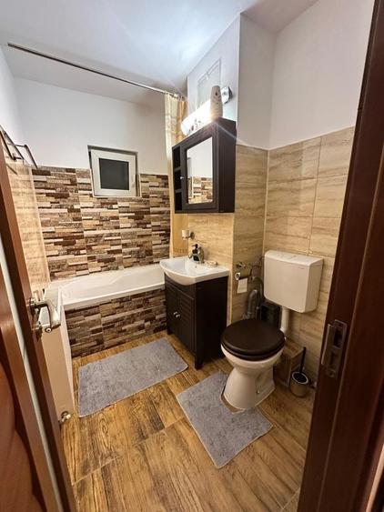 De inchiriat apartament 2 camere Timisoara - 12
