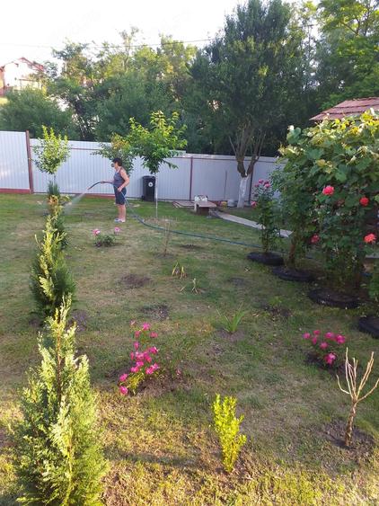 Casă cu 3 camere cu Teren 4000 Mp în Dejești