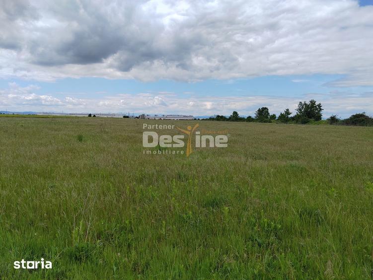 Teren de 114000 mp, în Ariceștii Rahtivani