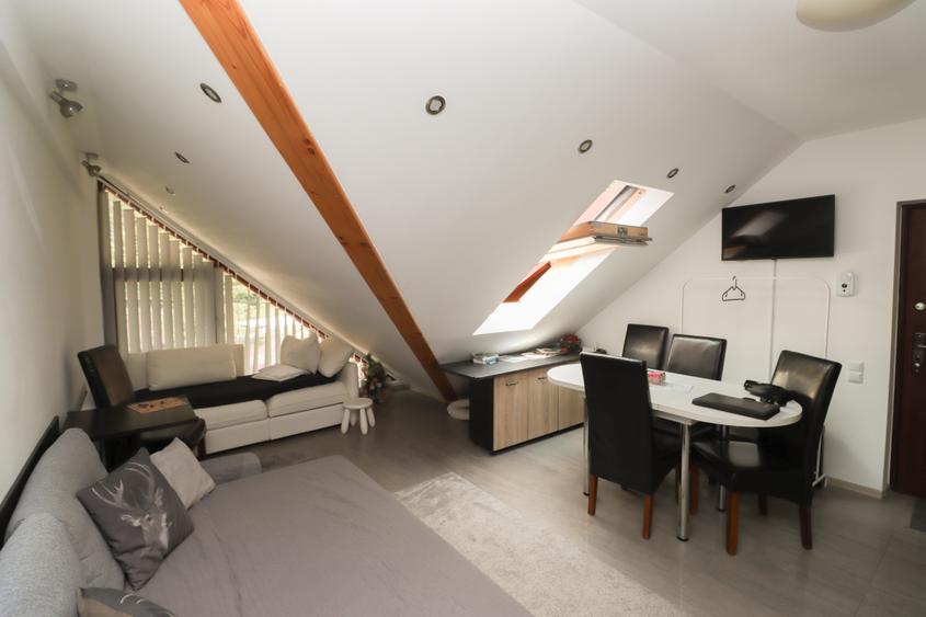 Apartament cu 2 camere semidecomandat în Bușteni
