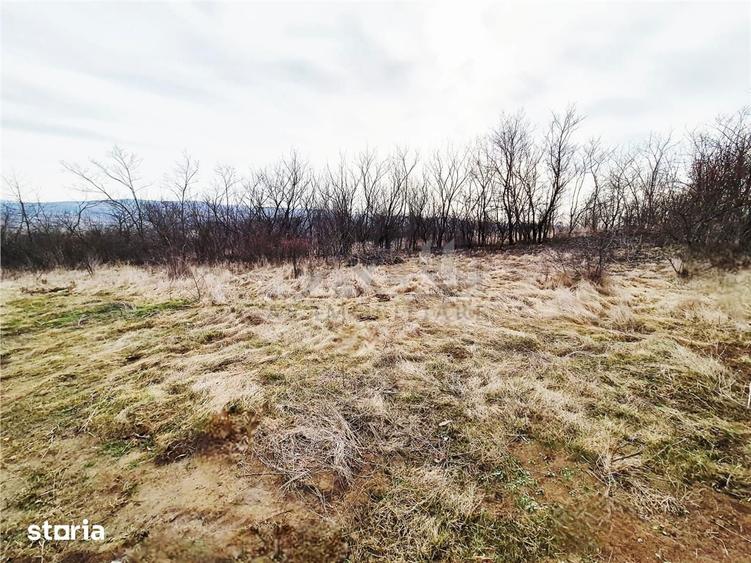 Teren de 493 mp, în Ciurea