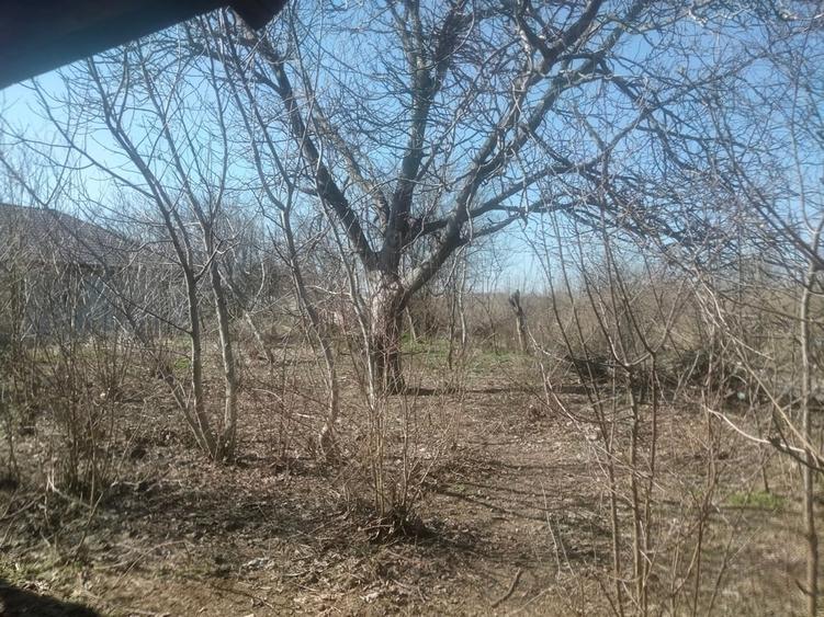 Casă cu 3 camere în Ilfoveni