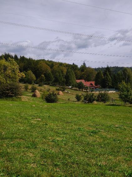 Teren Construcții intravilan de 4401 mp, în Trăisteni