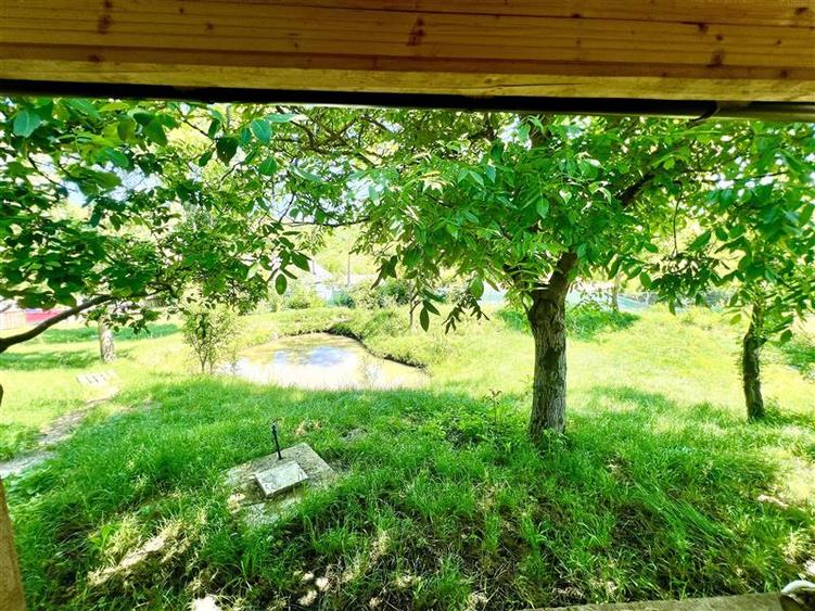 Casă individuală cu 2 camere cu Teren 1000 Mp în Probota