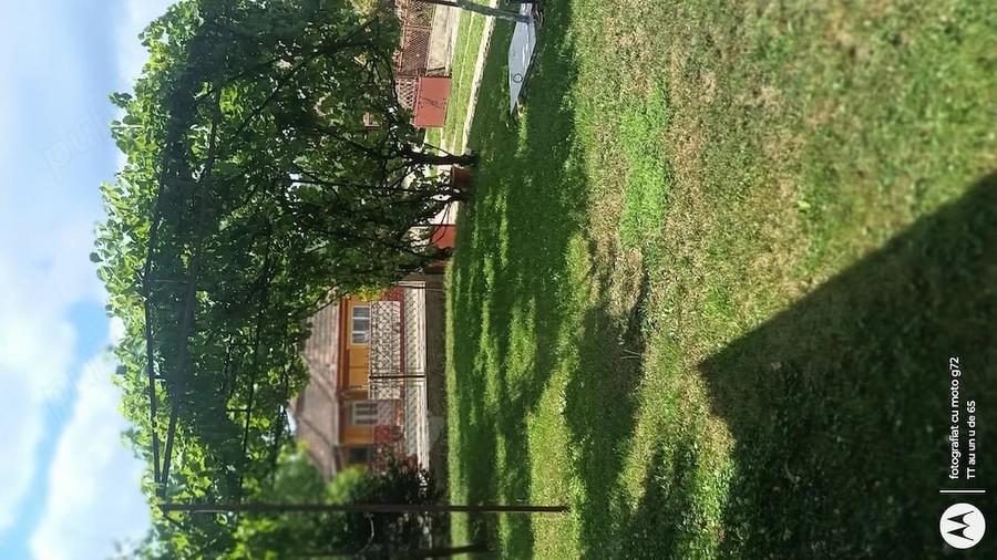 Casă cu Teren 5500 Mp în Pădurenii (Tritenii de Jos)