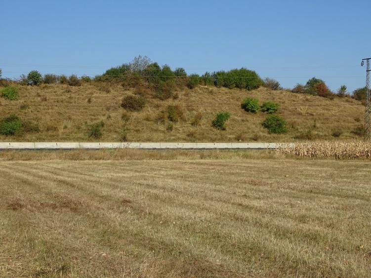 Teren agricol extravilan de 30000 mp, în Băicoi