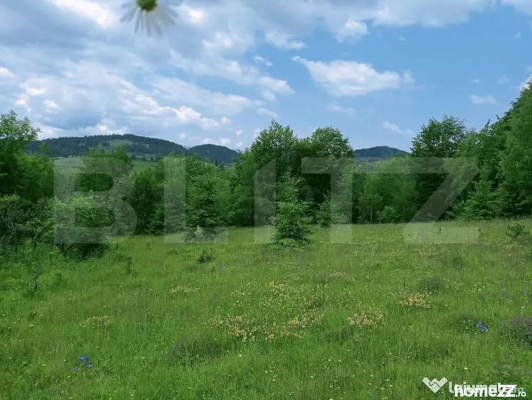 Teren de 30121 mp, în Scărișoara