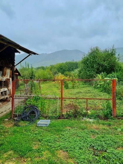 Casă cu 3 camere în Sboghițești