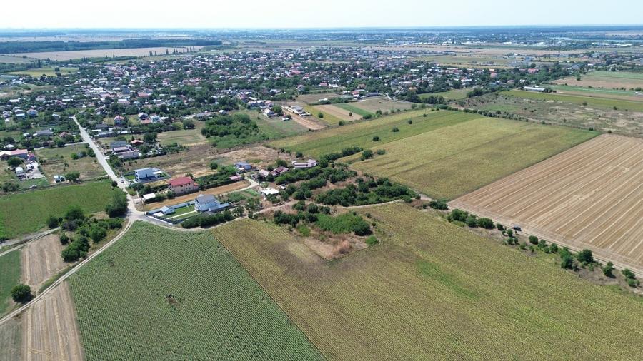 Teren Construcții intravilan de 29000 mp, în Dârza