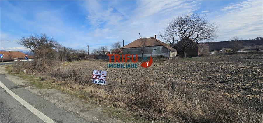 Teren Construcții intravilan de 8932 mp, în Șibot