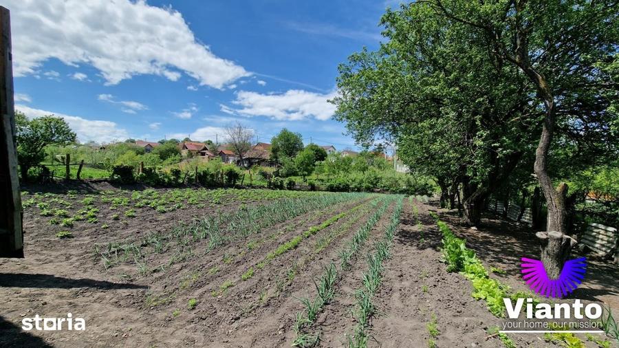 Casă cu 4 camere cu Teren 2984 Mp în Chirpăr