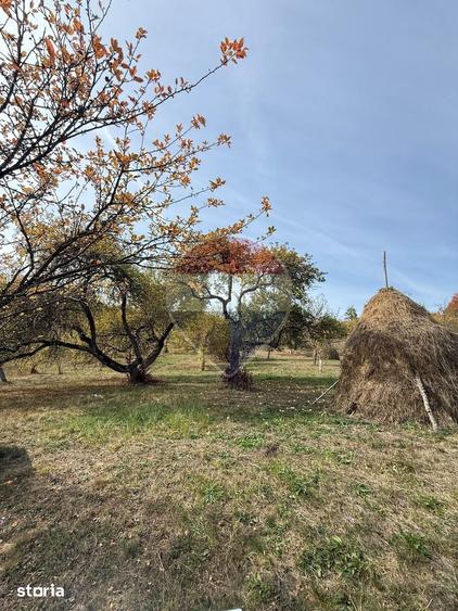 Teren de 13340 mp, în Bârsana