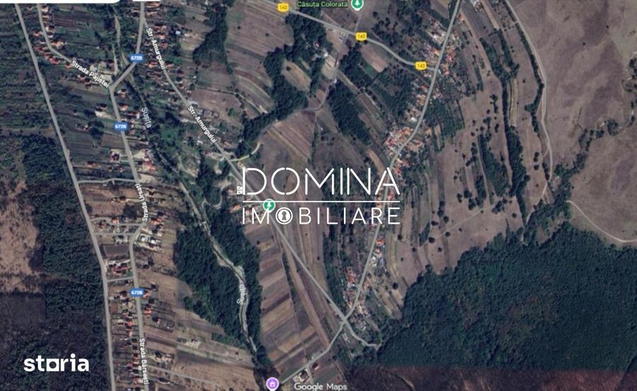 Vanzare teren intravilan - 2518 mp - strada Amurgului - Ursati - 7