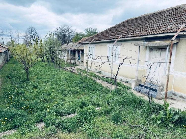 Casă cu 4 camere în Luciu