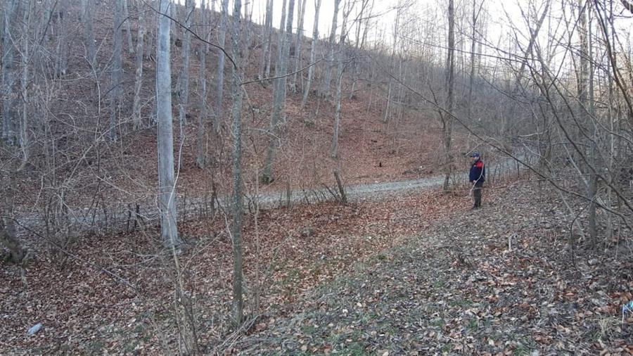 Teren de 4750 mp, în Provița de Sus