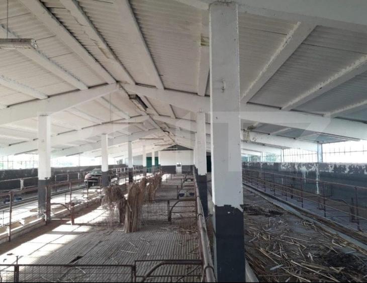 Teren Construcții intravilan de 950000 mp, în Exterior Nord
