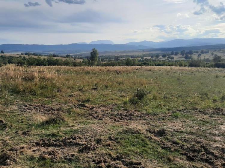 Teren Construcții extravilan de 10756 mp, în Dumbrăvița