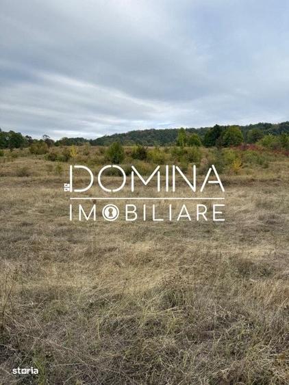 Spațiu comercial, în Suseni