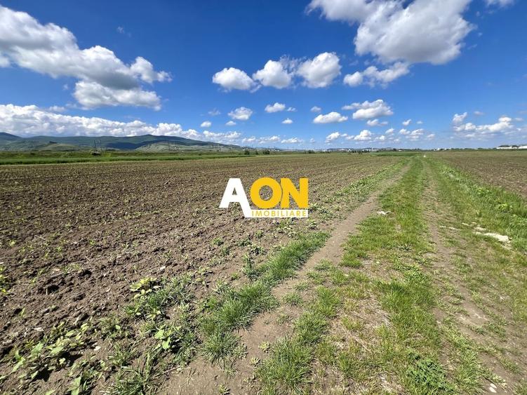 Teren Construcții intravilan de 5360 mp, în Exterior Sud