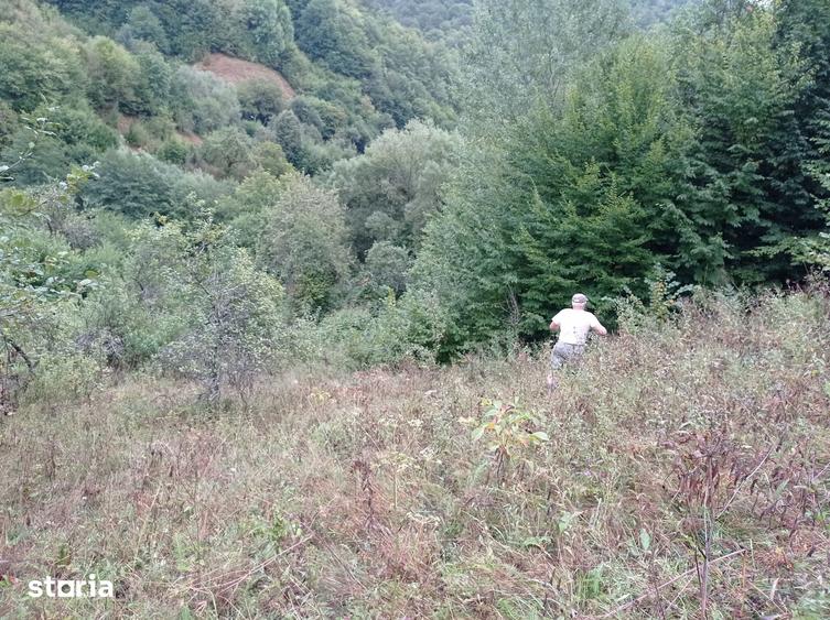Teren de 32000 mp, în Rusca