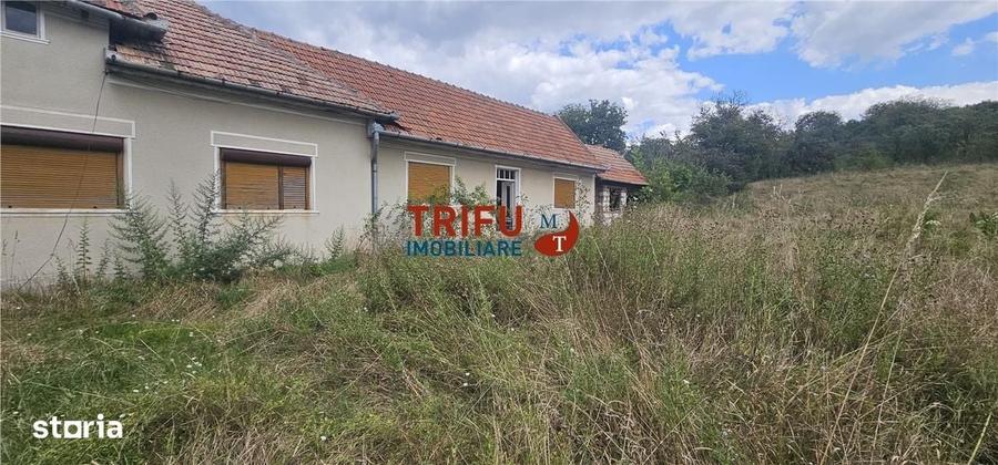 Casă cu 4 camere în Drâmbar