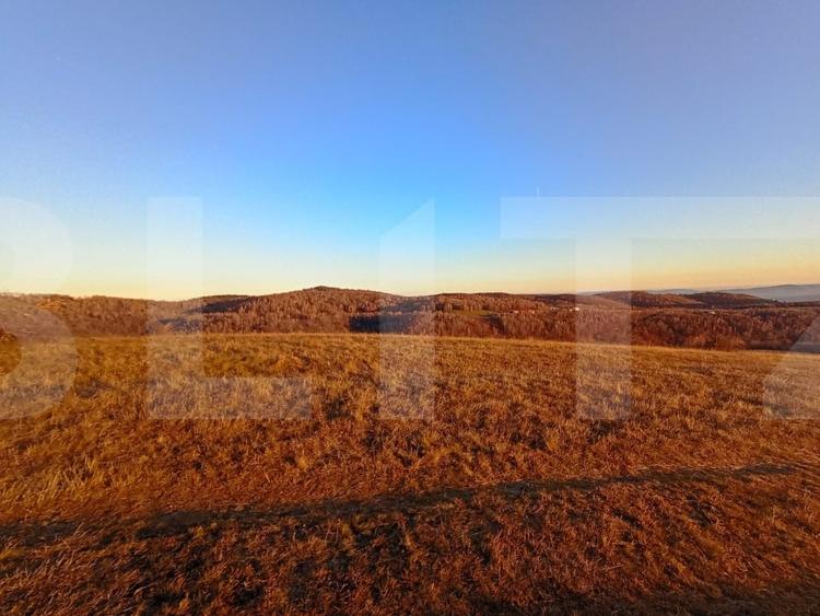 Teren agricol extravilan de 8600 mp, în Sălicea