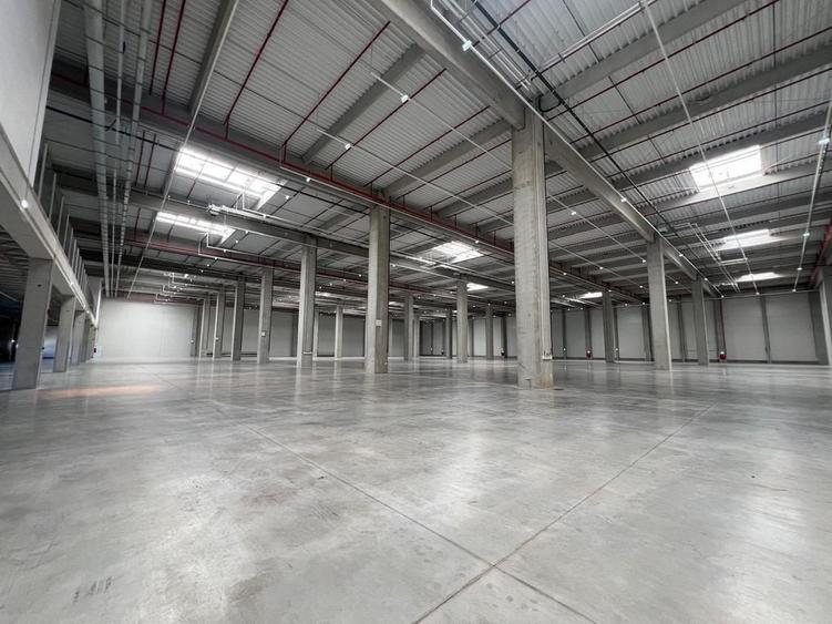 Spațiu comercial, de 4,000 mp, în Ștefăneștii de Jos