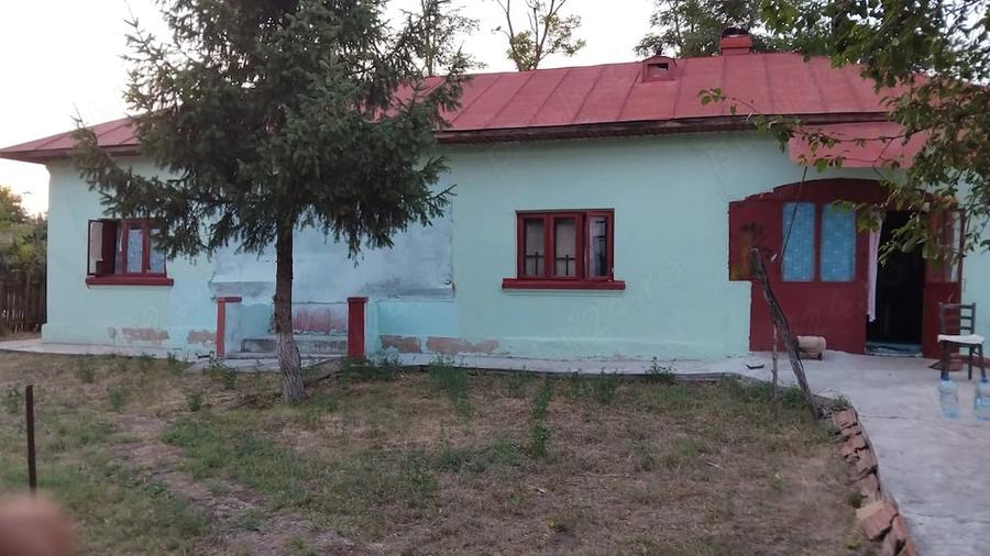 Casă cu Teren 2900 Mp în Izvoru (Gogoșari)