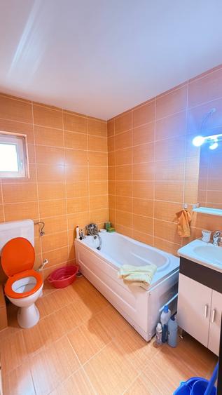 Apartament cu 2 camere decomandat în Valea Borcutului