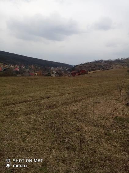Teren de 8000 mp, în Exterior Vest