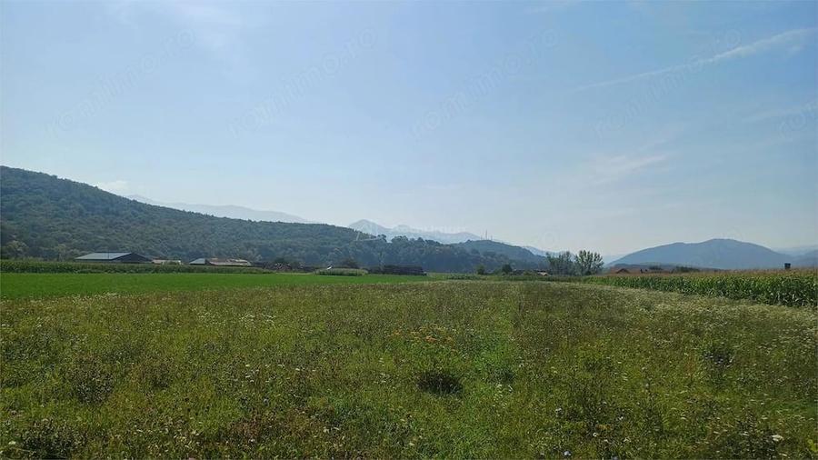 Teren de 2500 mp, în Periferie