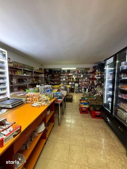 Casă cu Teren 800 Mp în Dumitra