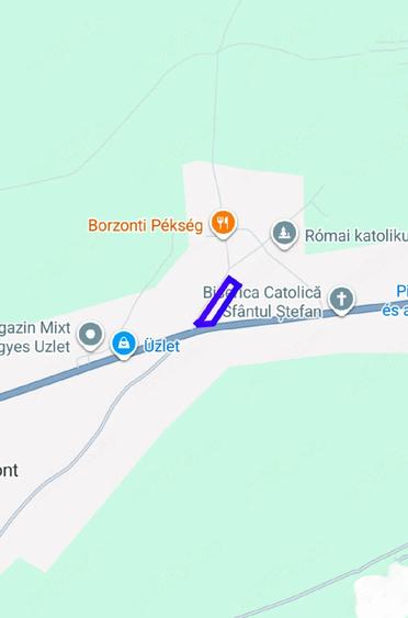 Casă cu 2 camere cu Teren 3549 Mp în Central