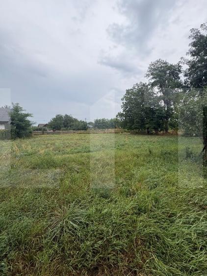 Teren Construcții intravilan de 1518 mp, în Cătămărești-Deal