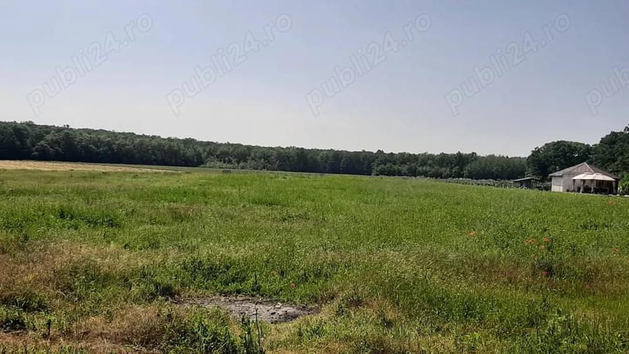 Casă cu 3 camere cu Teren 4000 Mp în Central