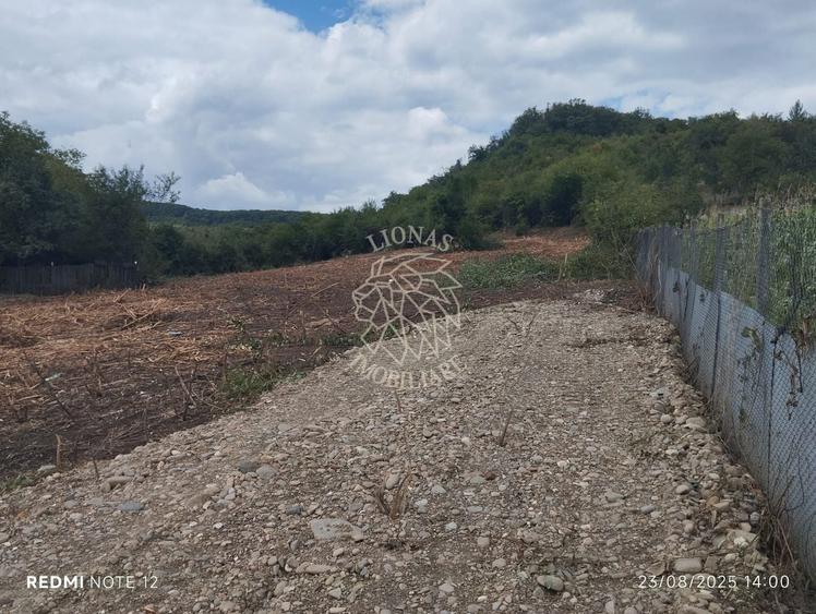 Teren Construcții intravilan de 1200 mp, în Viișoara