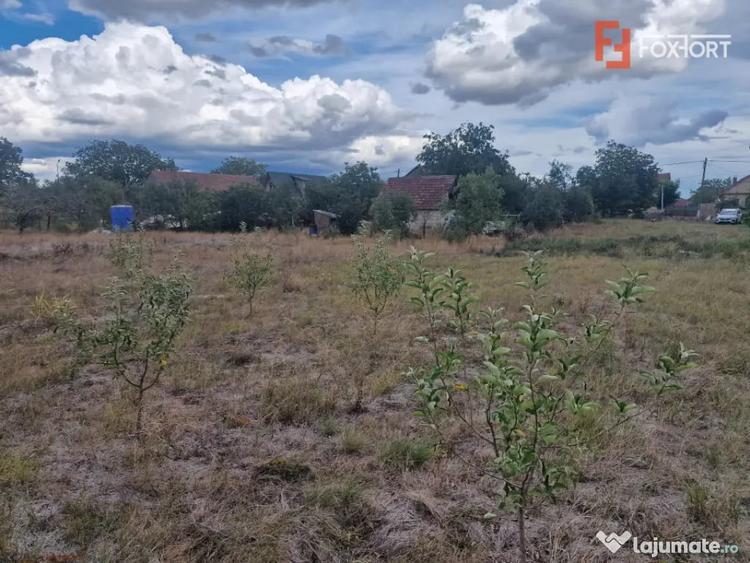 Teren intravilan de 1493 mp cu utilitati - Ianova - Ianova (Timis) - 6