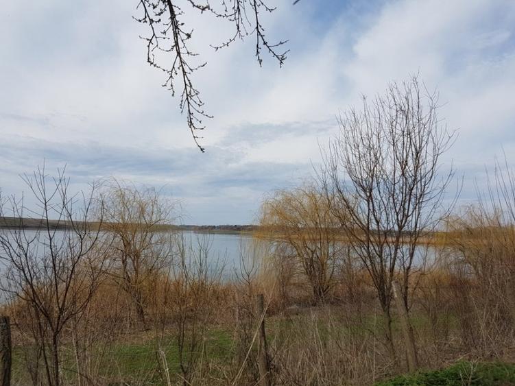 Teren Construcții intravilan de 1000 mp, în Sărulești